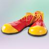 Clown Shoes