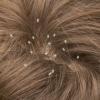 nitsinhair.jpg