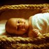 Baby in wahakura SMALL